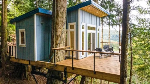 A modern treehouse with a blue exterior, large windows, and a wooden deck, nestled among tall trees.