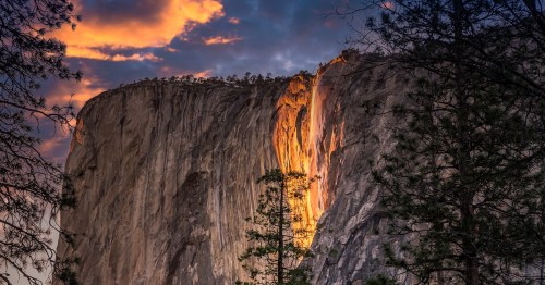 A wide-angle view of Yosemite's Horsetail Fall glowing orange like fire against the granite face of El Capitan, framed by silhouetted pine trees at sunset.