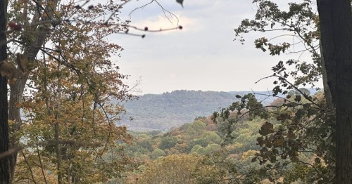 A scenic overlook of a vast, colorful forest valley during the autumn season.