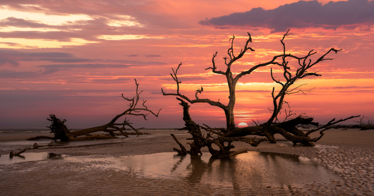 4 Small Towns in South Carolina So Dreamy, You’ll Swear You’ve Seen Them on TV