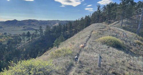 Two dogs walking along a narrow ridge trail overlooking a vast, hilly landscape.