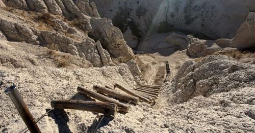 A steep cable ladder climbing up a rock formation.