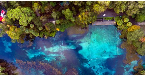 Pristine spring in central Florida