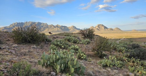 panoramic view of mountains and desert with a bench at an overlook at rockhound state park in New Mexico