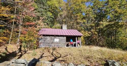 An old cabin in a forest.