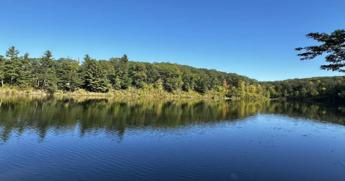 A panoramic view of the calm Rainbow Lake shoreline with vibrant green trees reflecting onto the water under a clear, bright blue sky.