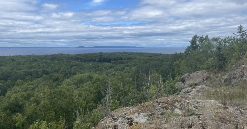 View of a forest and lake from a ridgeline.