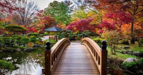 A wooden bridge leads to a Japanese garden with colorful fall trees.