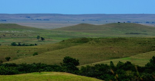 Lush green rolling hills and vast prairie landscapes under a clear blue sky in the Flint Hills of Kansas.