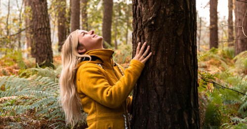 A woman with blonde hair and a yellow jacket touches the bark of a tall tree and looks up while forest bathing in the U.S.