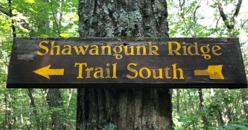 A trail marking in the forest reading "Shawangunk Ridge Trail South".