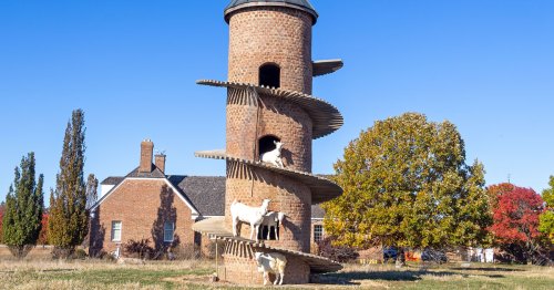 Goats stand on a brick tower with a house and fall trees.