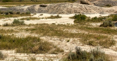 Pale sandy badlands with sparse green shrubs and rolling mounds at Little Grand Canyon in Nebraska.