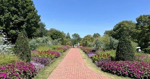 A long brick path surrounded on both sides by flowers.