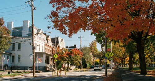 A historic tree-lined street in the Shadyside neighborhood of Pittsburgh, Pennsylvania, known for its classic architecture.