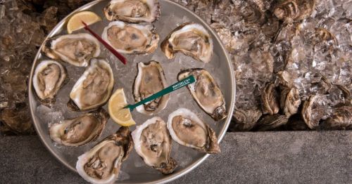 Iced plate of fresh oysters at Wintzell's Oyster House