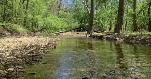 A forest preserve in Bloomington, Indiana