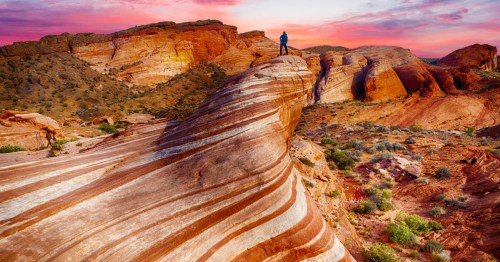 A lone hiker stands atop the swirling red-and-white sandstone of the Fire Wave in Valley of Fire State Park, Nevada, as layered desert hills glow under a pink and orange sunset sky.