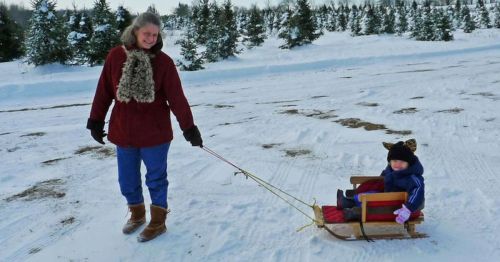A grandparent pulling a child on a sled in Michigan.