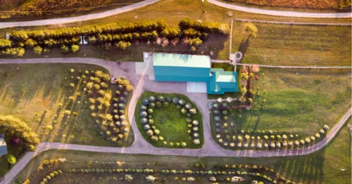 Bird’s-eye view of an Airbnb property showing meticulously landscaped tree rows and a winding driveway.