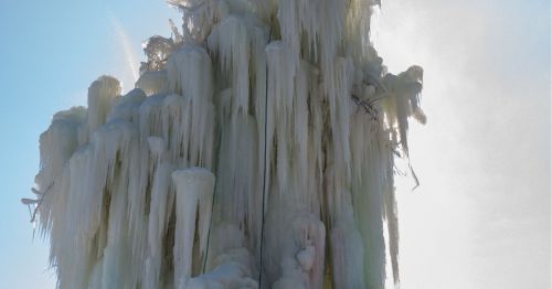 Veal's Ice Tree