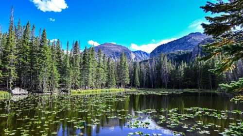 A serene lake surrounded by lush green trees and mountains under a bright blue sky with fluffy clouds.