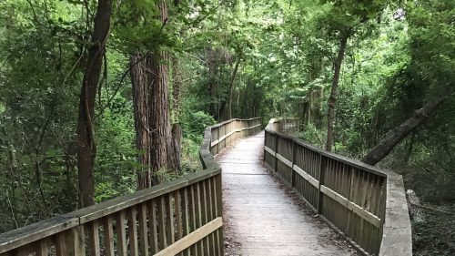 A wooden boardwalk winding through a lush green forest, surrounded by trees and foliage.