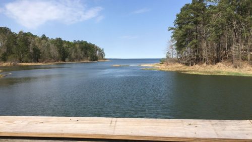 A serene view of a calm lake surrounded by trees under a clear blue sky, with a wooden railing in the foreground.