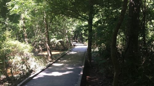 A wooden boardwalk winding through a lush green forest, surrounded by trees and natural foliage.