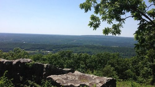 A panoramic view of green hills and valleys under a clear blue sky, framed by tree branches in the foreground.