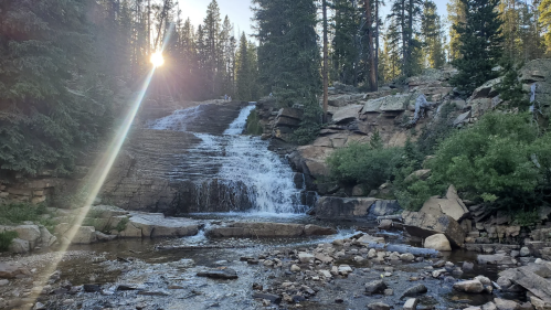 A serene waterfall cascades over rocks, surrounded by trees, with sunlight streaming through the forest.