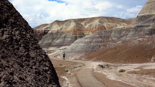 Arizona / USA - August 01, 2015: Petrified Forest National Park landscape, Arizona, USA
