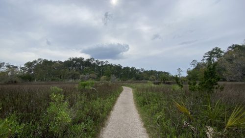 A winding dirt path through a grassy marshland, surrounded by trees under a cloudy sky.