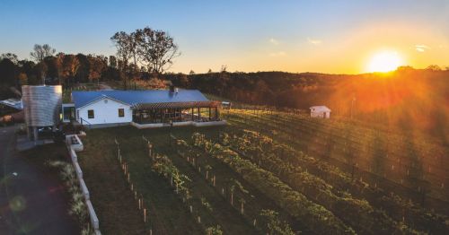 A quaint winery and vineyard, photographed at sunset