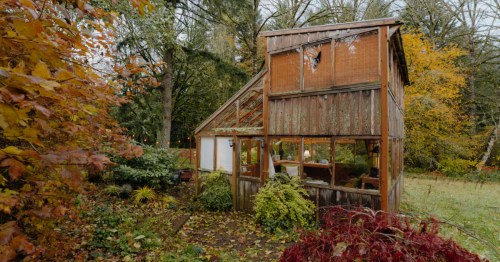 A former greenhouse is now an Airbnb located on a farm in Oregon, just down the road from Abiqua Falls.