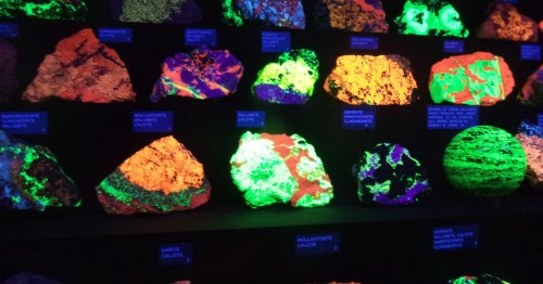A correction of fluorescent rocks and minerals glowing in the dark behind a display case.