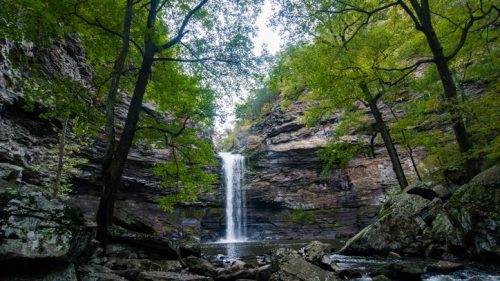 A serene waterfall cascades down rocky cliffs, surrounded by lush green trees and a tranquil river below.