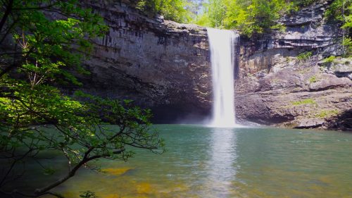 A serene waterfall cascades into a clear pool, surrounded by lush greenery and rocky cliffs.