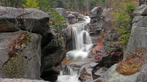 A serene waterfall cascades over rocks, surrounded by lush greenery and a tranquil forest setting.