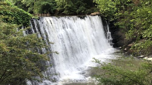 A serene waterfall cascading over rocks, surrounded by lush green trees and foliage.