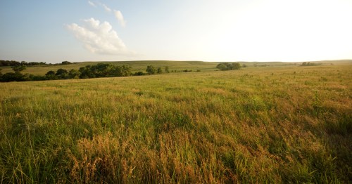Prairie grass and green fields sway under a blue sky.