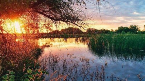 A serene sunset over a calm lake, surrounded by lush greenery and soft clouds in the sky.