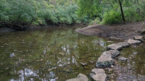 A serene creek surrounded by lush greenery, with a rocky path along the water's edge.