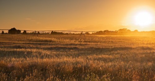 A golden sunset over farmland at harvest time near Ririe, Idaho.