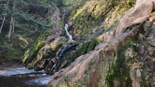 A serene waterfall cascading down moss-covered rocks in a lush forest setting.