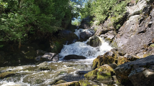 A serene waterfall cascades over rocky terrain, surrounded by lush greenery and sunlight filtering through the trees.