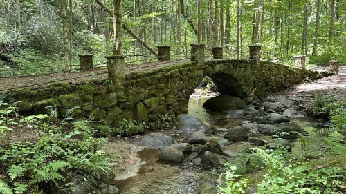 A stone bridge arches over a clear stream, surrounded by lush green trees and ferns in a serene forest setting.