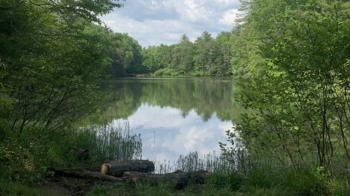 A serene lake surrounded by lush greenery and trees, reflecting the sky and clouds above.