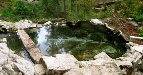Primitive hot springs are surrounded by rock walls and a dense forest.