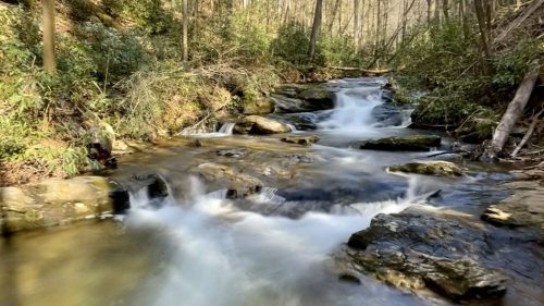 A serene stream flows through a wooded area, surrounded by trees and rocks, under a clear blue sky.